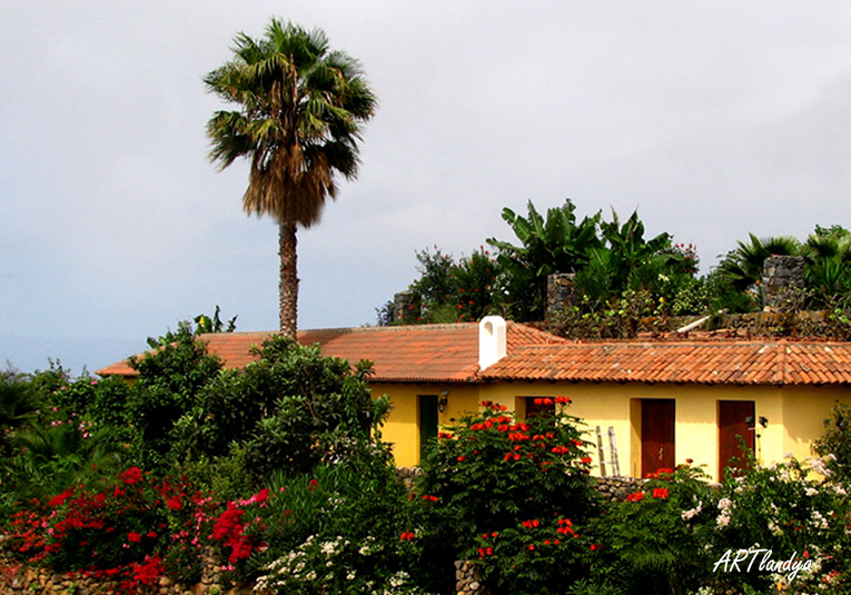 finca_artlandya